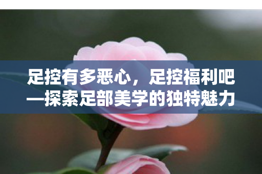 足控有多恶心，足控福利吧—探索足部美学的独特魅力