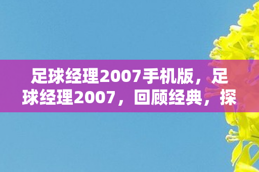 足球经理2007手机版，足球经理2007，回顾经典，探寻足球管理之精髓