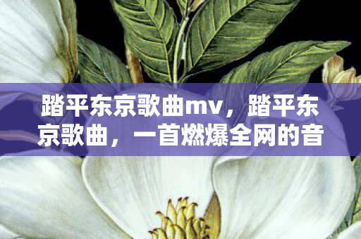 踏平东京歌曲mv,踏平东京歌曲,一首燃爆全网的音乐传奇 踏平东京歌曲mv,踏平东京歌曲,一首燃爆全网的音乐传奇
