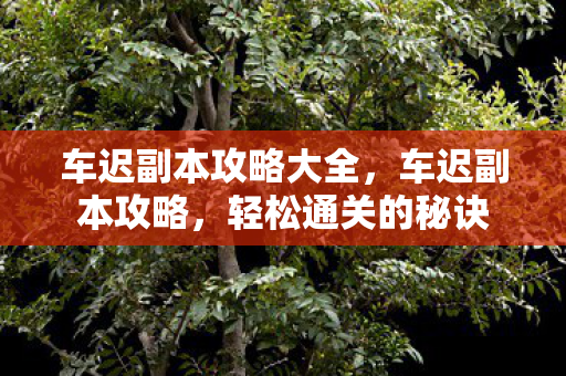 车迟副本攻略大全，车迟副本攻略，轻松通关的秘诀