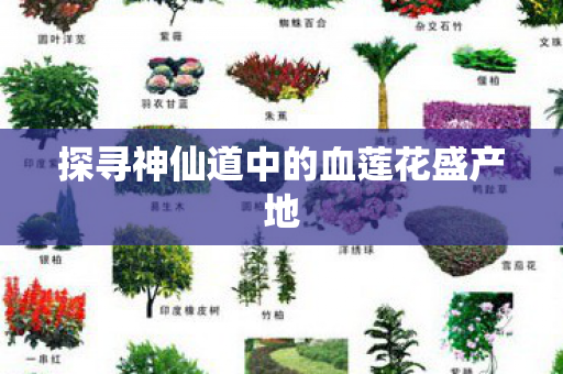 探寻神仙道中的血莲花盛产地