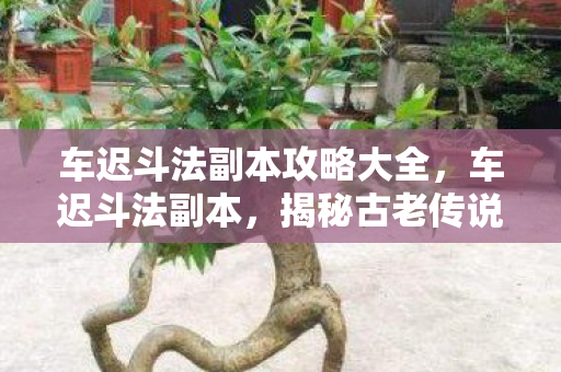 车迟斗法副本攻略大全,车迟斗法副本,揭秘古老传说背后的故事 车迟斗法副本攻略大全,车迟斗法副本,揭秘古老传说背后的故事