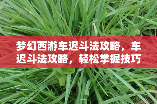 梦幻西游车迟斗法攻略,车迟斗法攻略,轻松掌握技巧,成为竞技场上的佼佼者 梦幻西游车迟斗法攻略,车迟斗法攻略,轻松掌握技巧,成为竞技场上的佼佼者