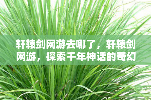 轩辕剑网游去哪了,轩辕剑网游,探索千年神话的奇幻之旅 轩辕剑网游去哪了,轩辕剑网游,探索千年神话的奇幻之旅