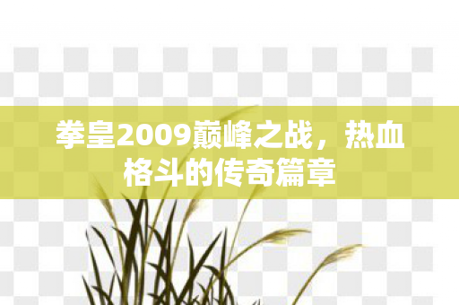 拳皇2009巅峰之战，热血格斗的传奇篇章