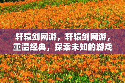 轩辕剑网游，轩辕剑网游，重温经典，探索未知的游戏世界