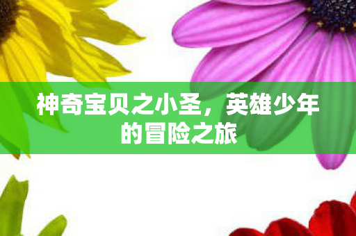 神奇宝贝之小圣，英雄少年的冒险之旅