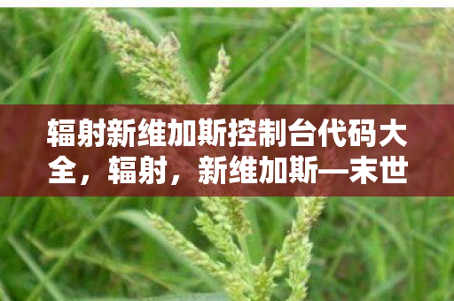 辐射新维加斯控制台代码大全，辐射，新维加斯—末世废土的全新篇章