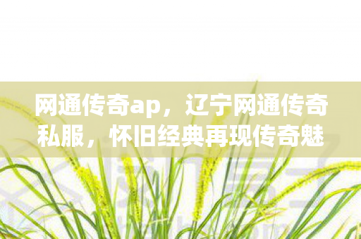 网通传奇ap,辽宁网通传奇私服,怀旧经典再现传奇魅力 网通传奇ap,辽宁网通传奇私服,怀旧经典再现传奇魅力