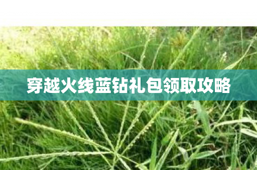 穿越火线蓝钻礼包领取攻略