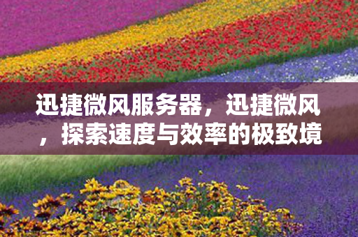 迅捷微风服务器，迅捷微风，探索速度与效率的极致境界