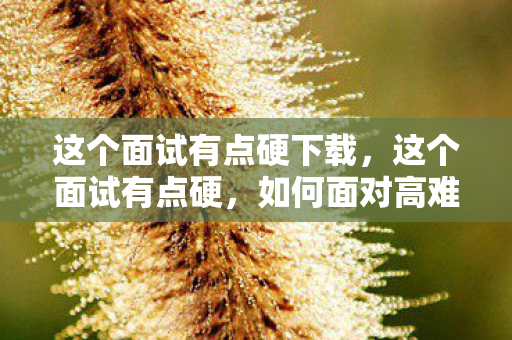 这个面试有点硬下载，这个面试有点硬，如何面对高难度挑战？