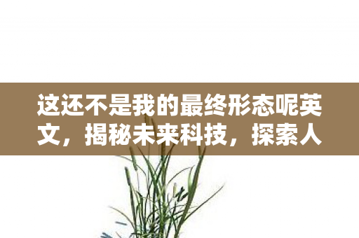 这还不是我的最终形态呢英文，揭秘未来科技，探索人工智能的无限潜能—这还不是我的最终形态