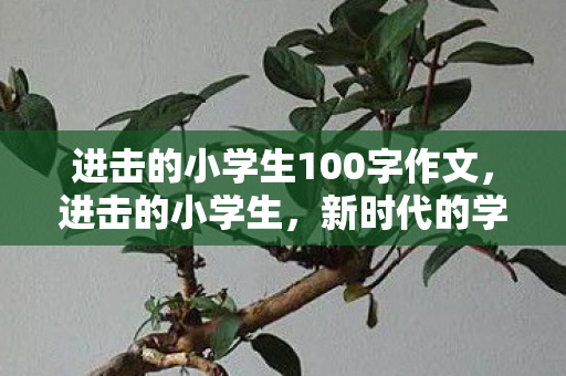 进击的小学生100字作文,进击的小学生,新时代的学习力量与挑战 进击的小学生100字作文,进击的小学生,新时代的学习力量与挑战