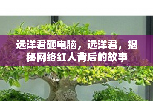 远洋君砸电脑,远洋君,揭秘网络红人背后的故事 远洋君砸电脑,远洋君,揭秘网络红人背后的故事
