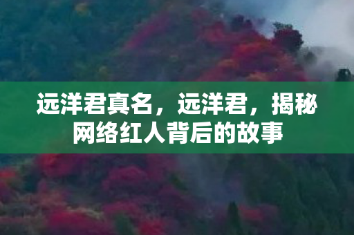 远洋君真名，远洋君，揭秘网络红人背后的故事