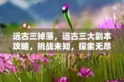 远古三掉落,远古三大副本攻略,挑战未知,探索无尽奥秘 远古三掉落,远古三大副本攻略,挑战未知,探索无尽奥秘