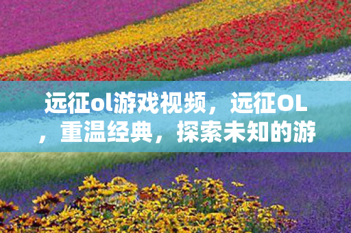 远征ol游戏视频，远征OL，重温经典，探索未知的游戏之旅