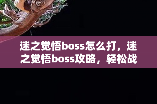 迷之觉悟boss怎么打，迷之觉悟boss攻略，轻松战胜强大的敌人