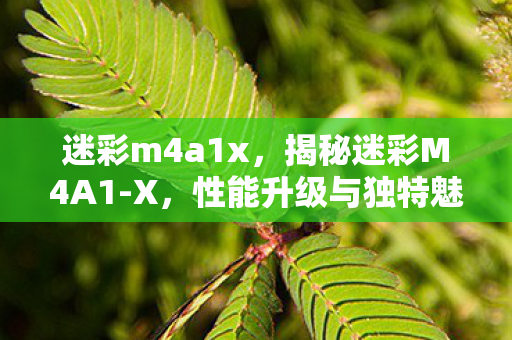迷彩m4a1x，揭秘迷彩M4A1-X，性能升级与独特魅力
