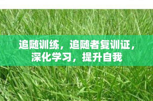 追随训练,追随者复训证,深化学习,提升自我 追随训练,追随者复训证,深化学习,提升自我