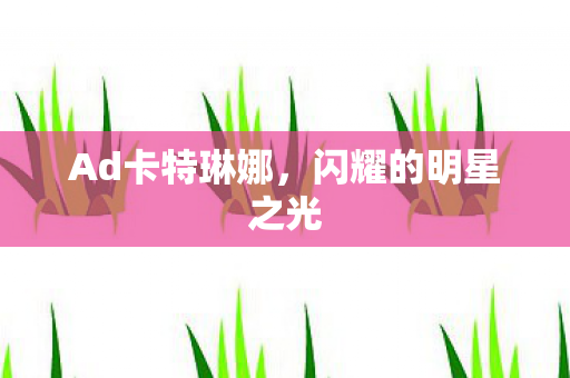 Ad卡特琳娜，闪耀的明星之光