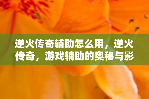 逆火传奇辅助怎么用，逆火传奇，游戏辅助的奥秘与影响