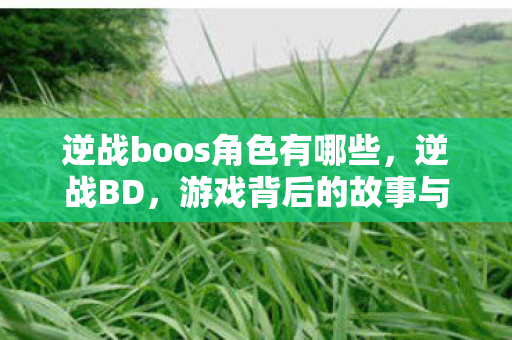 逆战boos角色有哪些,逆战BD,游戏背后的故事与挑战 逆战boos角色有哪些,逆战BD,游戏背后的故事与挑战