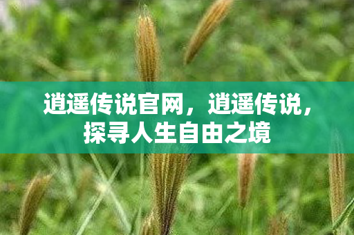 逍遥传说官网，逍遥传说，探寻人生自由之境