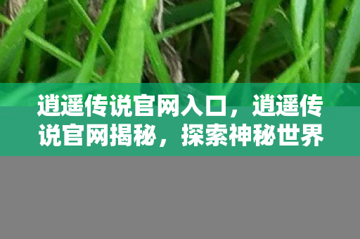 逍遥传说官网入口，逍遥传说官网揭秘，探索神秘世界的门户