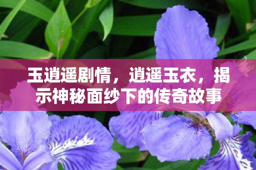 玉逍遥剧情,逍遥玉衣,揭示神秘面纱下的传奇故事 玉逍遥剧情,逍遥玉衣,揭示神秘面纱下的传奇故事