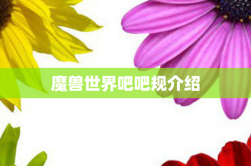魔兽世界吧吧规介绍 魔兽世界吧吧规介绍