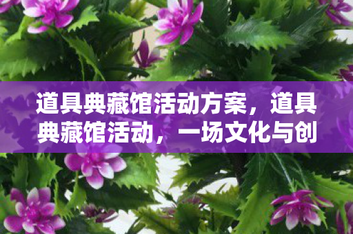 道具典藏馆活动方案，道具典藏馆活动，一场文化与创意的盛宴