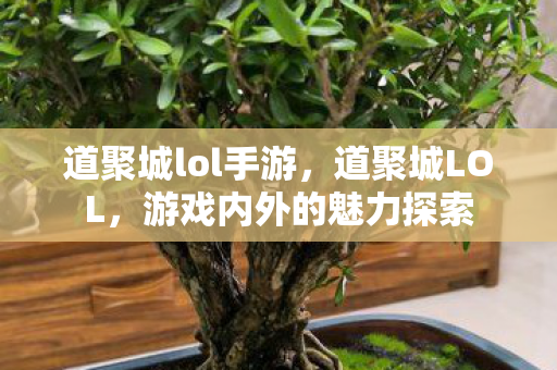 道聚城lol手游，道聚城LOL，游戏内外的魅力探索