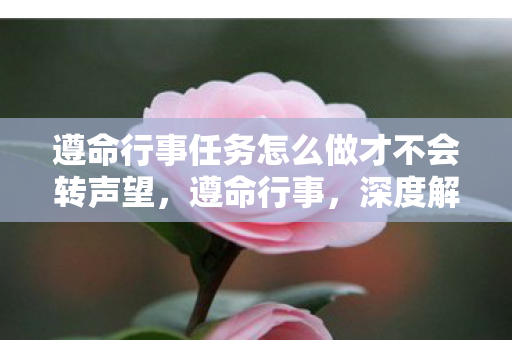 遵命行事任务怎么做才不会转声望，遵命行事，深度解析何为真正的忠诚与担当