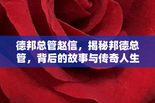 德邦总管赵信，揭秘邦德总管，背后的故事与传奇人生