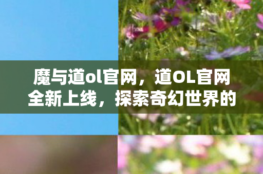 魔与道ol官网,道OL官网全新上线,探索奇幻世界的门户 魔与道ol官网,道OL官网全新上线,探索奇幻世界的门户