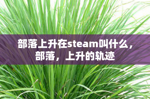 部落上升在steam叫什么,部落,上升的轨迹 部落上升在steam叫什么,部落,上升的轨迹