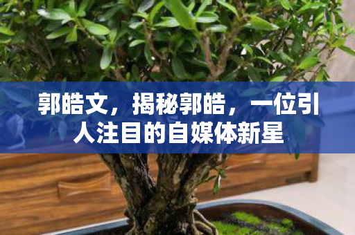 郭皓文，揭秘郭皓，一位引人注目的自媒体新星