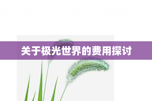 关于极光世界的费用探讨