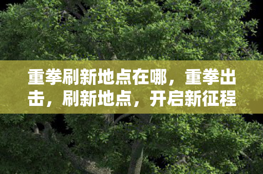 重拳刷新地点在哪，重拳出击，刷新地点，开启新征程