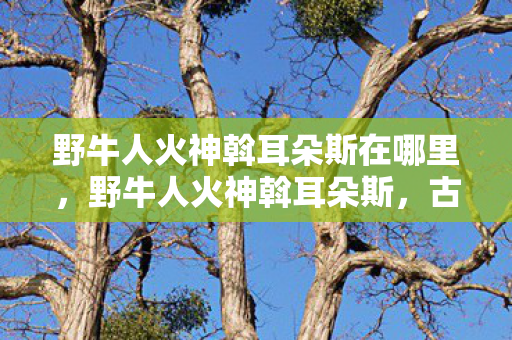 野牛人火神斡耳朵斯在哪里,野牛人火神斡耳朵斯,古老传说中的神秘存在 野牛人火神斡耳朵斯在哪里,野牛人火神斡耳朵斯,古老传说中的神秘存在
