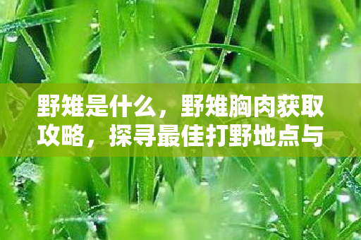 野雉是什么，野雉胸肉获取攻略，探寻最佳打野地点与技巧