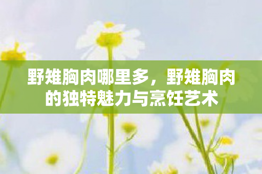 野雉胸肉哪里多，野雉胸肉的独特魅力与烹饪艺术