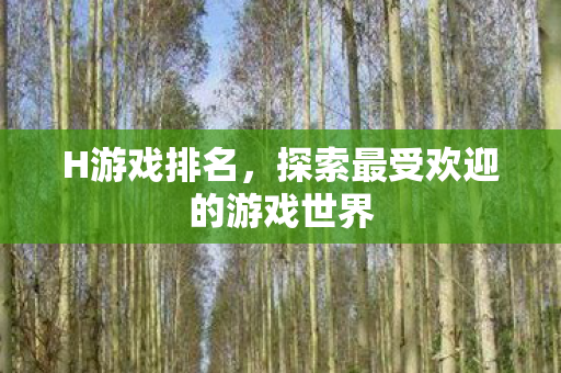 H游戏排名，探索最受欢迎的游戏世界