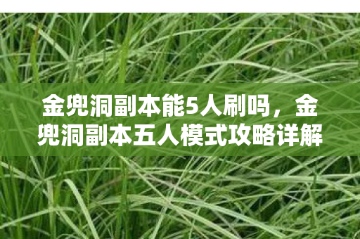 金兜洞副本能5人刷吗，金兜洞副本五人模式攻略详解