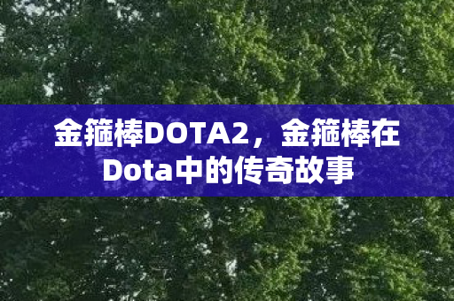 金箍棒DOTA2，金箍棒在Dota中的传奇故事