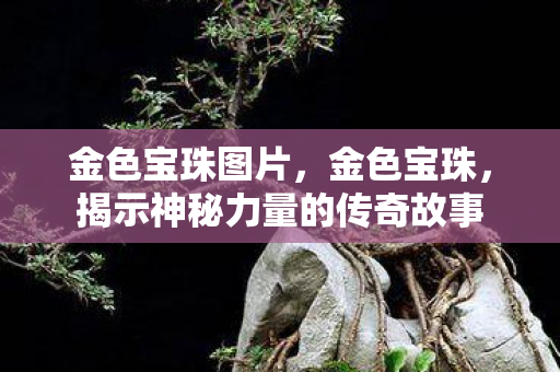 金色宝珠图片，金色宝珠，揭示神秘力量的传奇故事