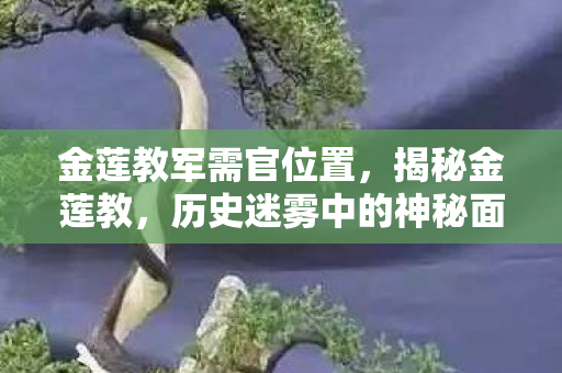 金莲教军需官位置,揭秘金莲教,历史迷雾中的神秘面纱 金莲教军需官位置,揭秘金莲教,历史迷雾中的神秘面纱