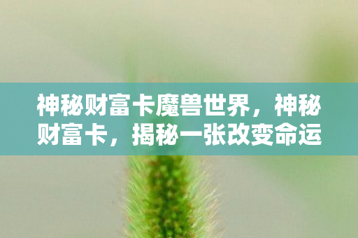 神秘财富卡魔兽世界，神秘财富卡，揭秘一张改变命运的神秘卡片